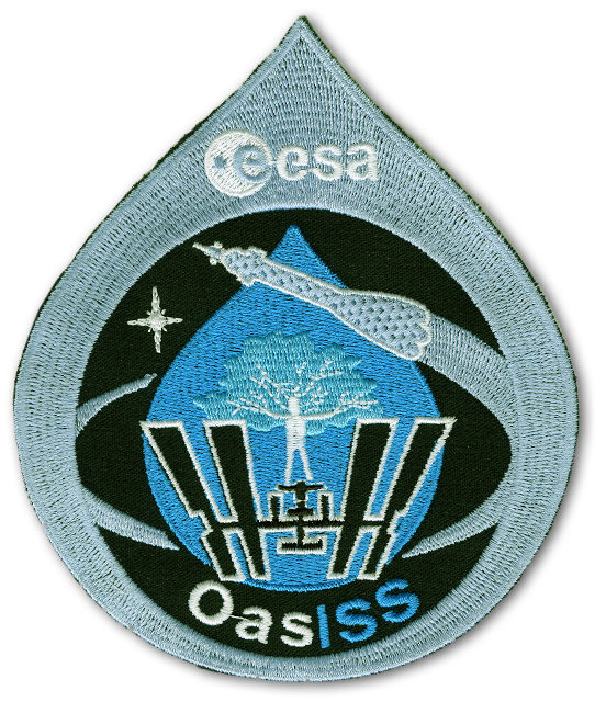 OasiSS Patch. Original-Emblem