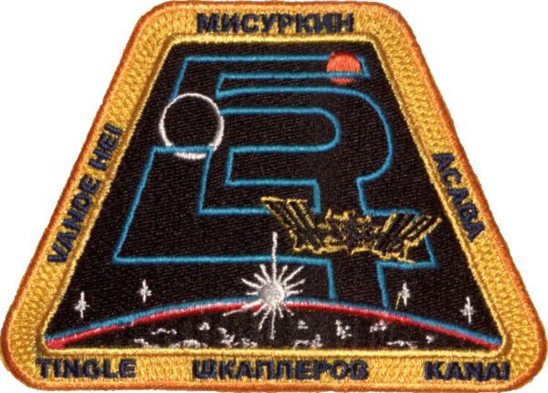 ISS Expedition 54. Stoffemblem